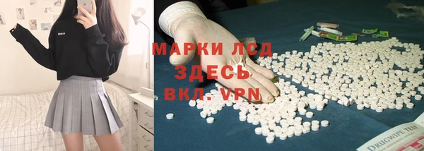 стафф Богданович