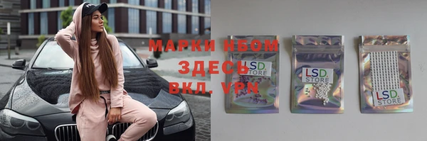 стафф Богданович