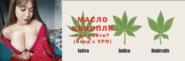 стафф Богданович