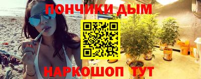 индика Бийск