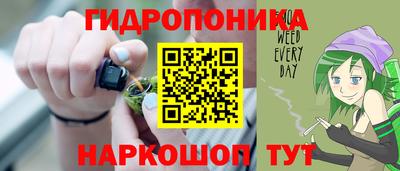 индика Бийск