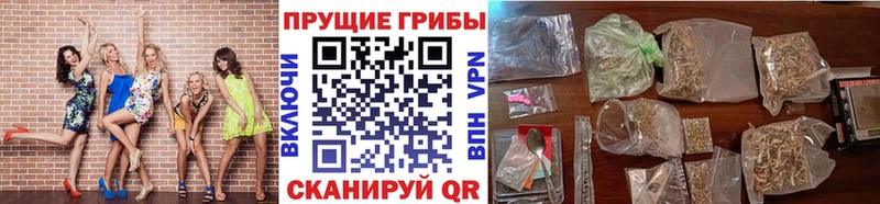 OMG сайт  Вязьма  Галлюциногенные грибы GOLDEN TEACHER 