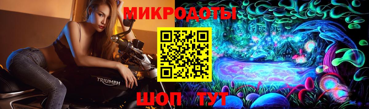 Псилоцибиновые грибы Psilocybine cubensis Вязьма