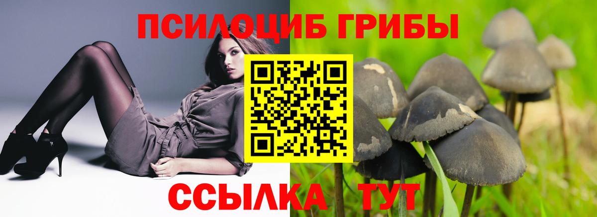 Псилоцибиновые грибы Magic Shrooms  Вход с VPN  Вязьма  Псилоцибиновые грибы GOLDEN TEACHER 